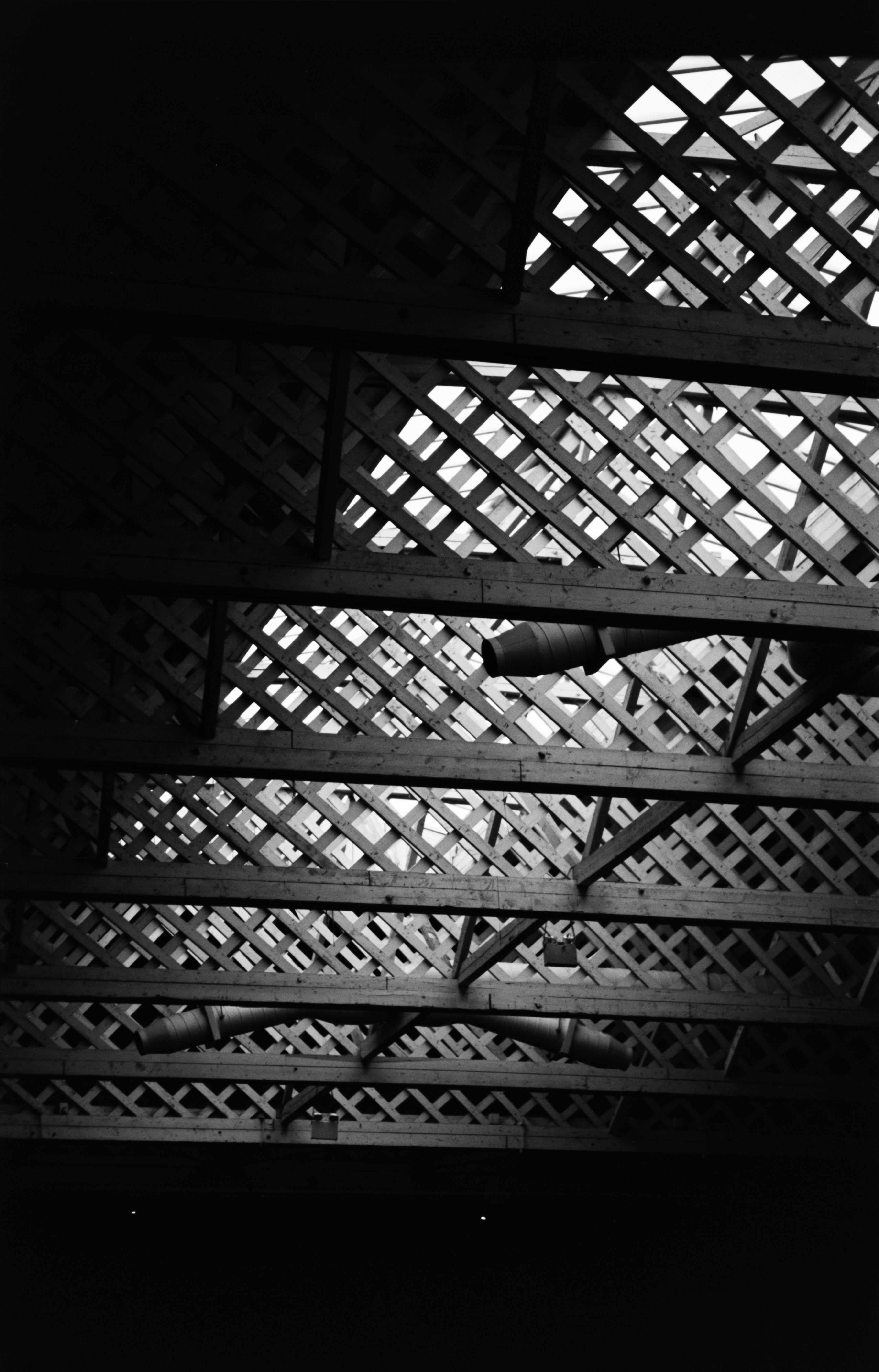 This Is How I Roll Film Noir 100 - 120 Medium Format Black & White Film