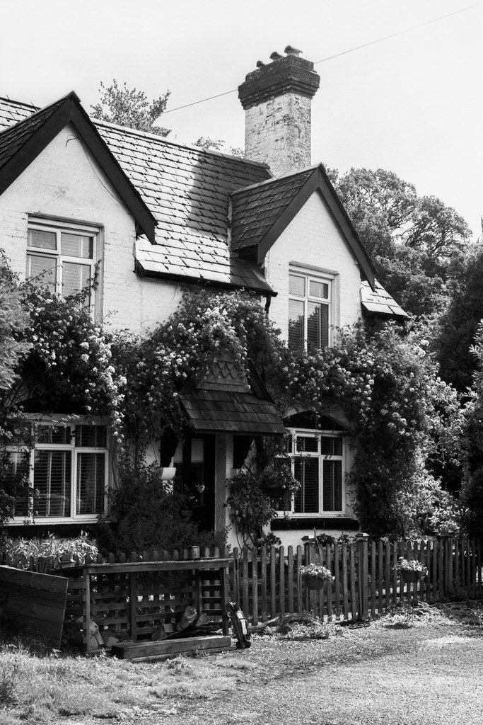 Vintage-style black and white photo of a quaint house with a garden.